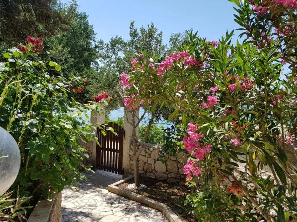 Apartmani Robert i Milena – fotografija 3