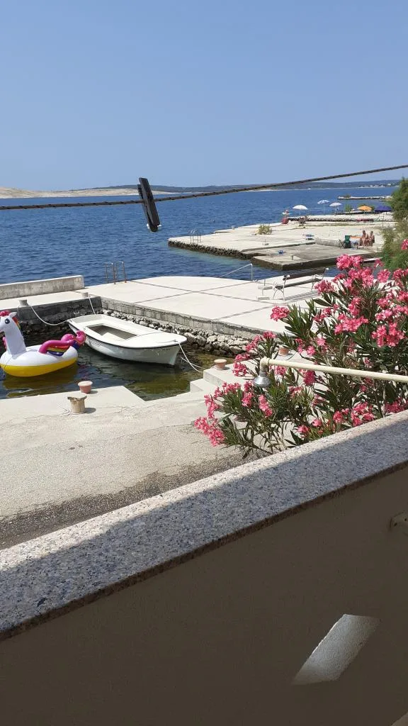 A4+1 – fotografija 2