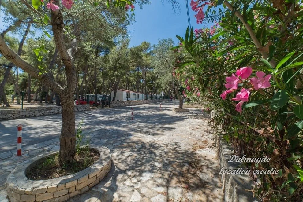 Apartmani Damir – fotografija 6