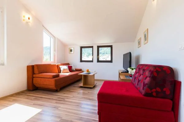 Apartmani Slanac – fotografija 4