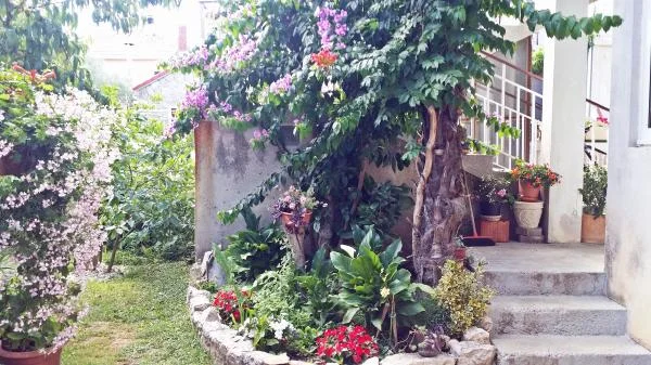 Apartmani Ante – fotografija 5