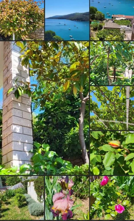 Apartmani Lola – fotografija 5