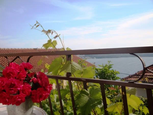 Apartmani Villa Roza – fotografija 4