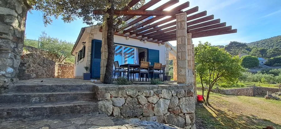 Olea – fotografija 2