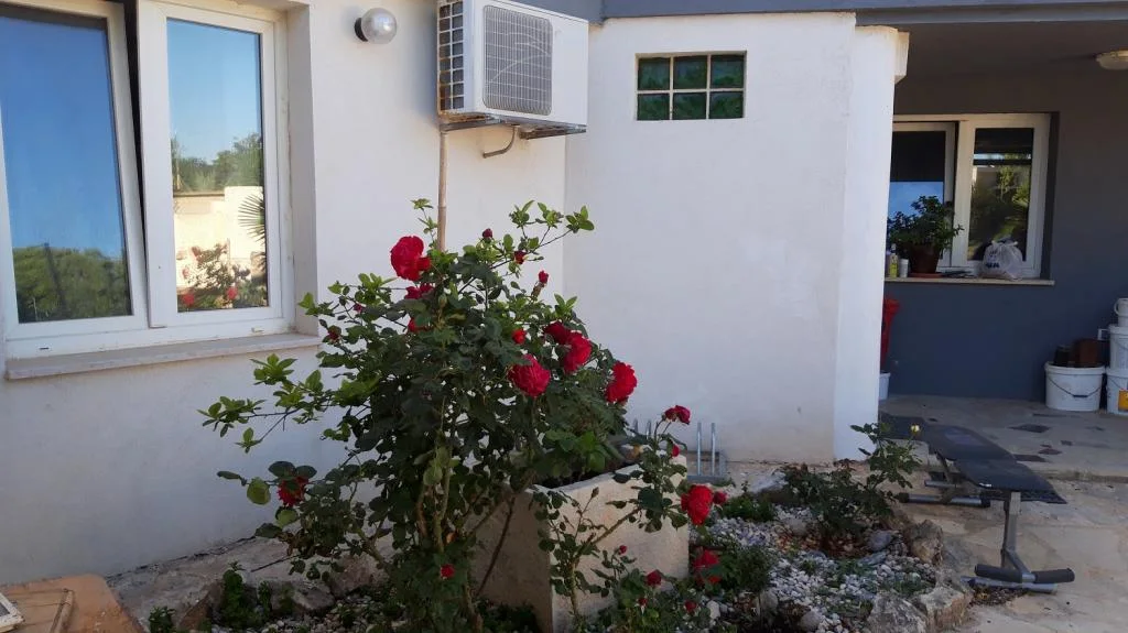 Apartmani Regi – fotografija 4