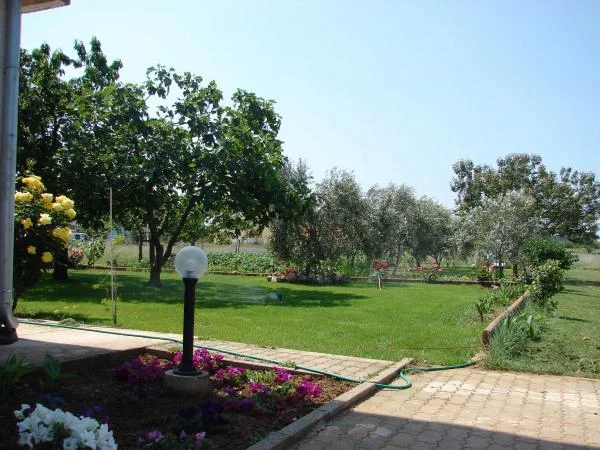Apartmani Martin – fotografija 3