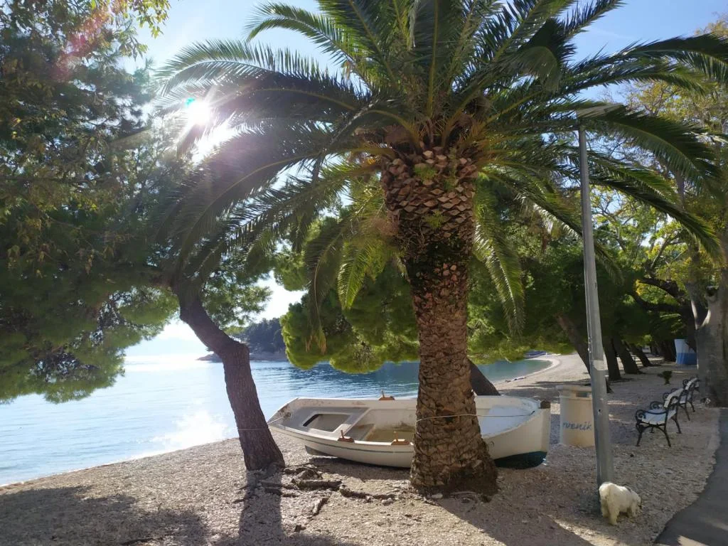 Apartmani Plavi Jadran – fotografija 6
