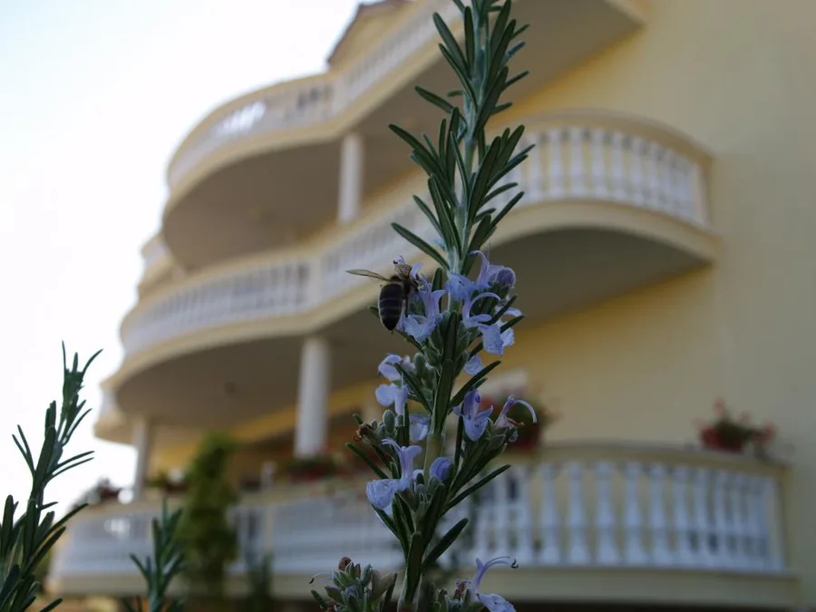 Apartman Villa Murter – fotografija 2