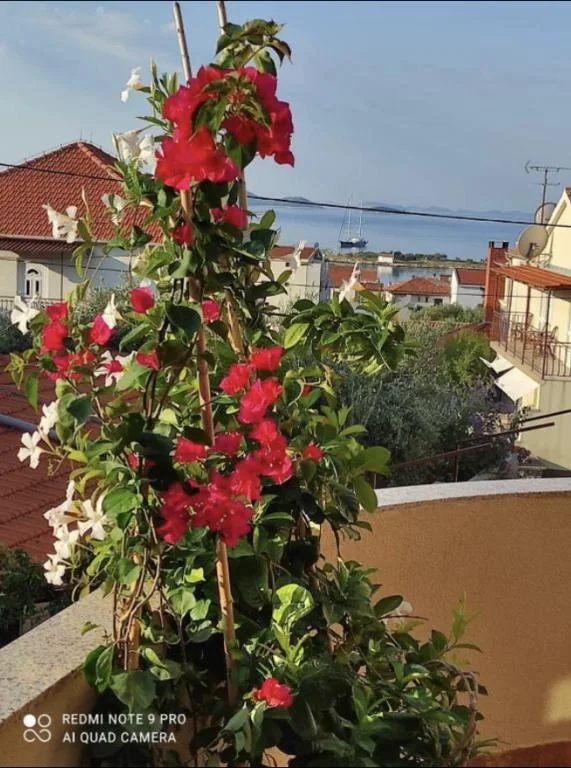 Apartmani Iva – fotografija 5