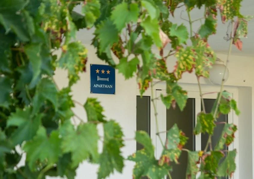 Apartmani Miran – fotografija 5