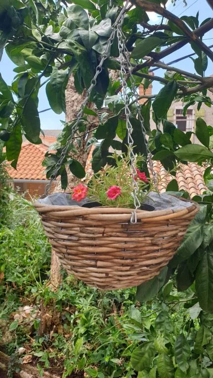 Apartmani Biserka A – fotografija 6