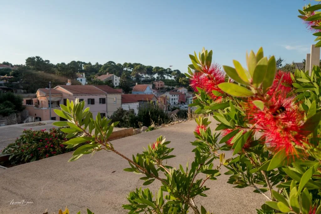 Apartmani & Sobe Amaryllis – fotografija 6