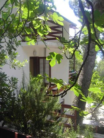 Apartmani Lizatović – fotografija 6