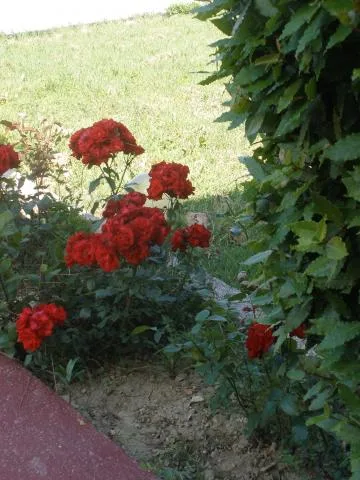 A4+1 – fotografija 2