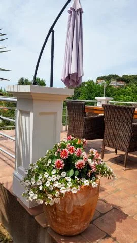 Apartmani Ana – fotografija 4