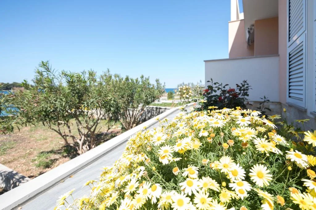 Apartmani Carić – fotografija 5