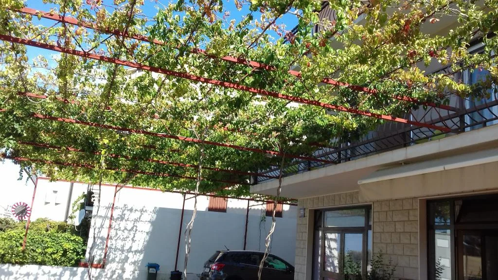 Apartmani Sunce – fotografija 4