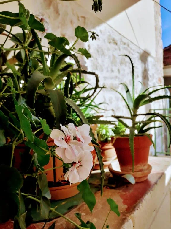 Apartman Kuća Ivan – fotografija 6