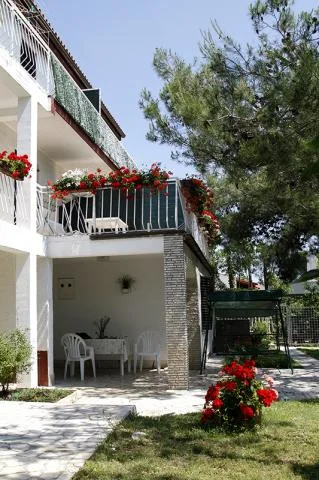 Apartmani Nataša – fotografija 6