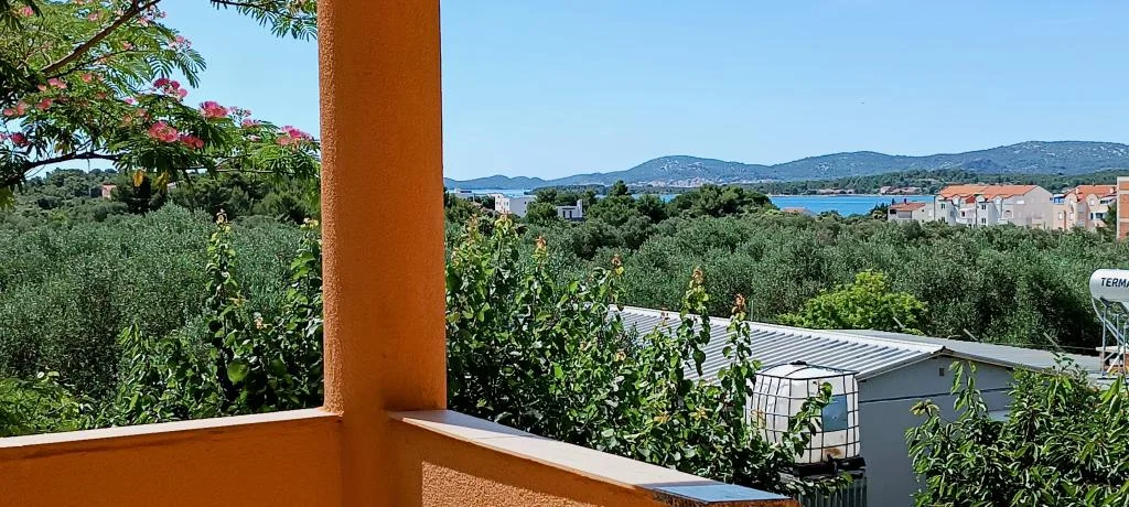 Apartman Pine Hill – fotografija 5