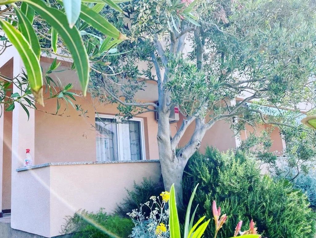 Apartmani Ivana Vidalici – fotografija 6