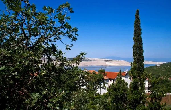 Apartmani Vives – fotografija 6