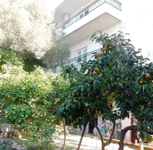 Apartmani Maslina – fotografija 4