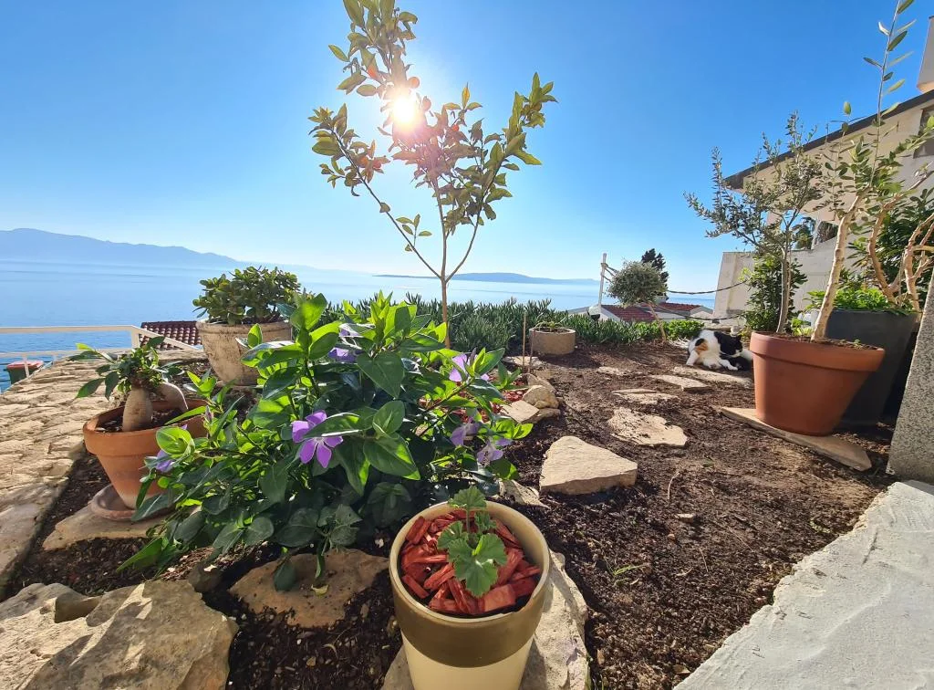 Apartmani Puntin – fotografija 6