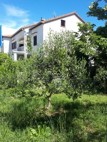 Apartmani Nika – fotografija 6