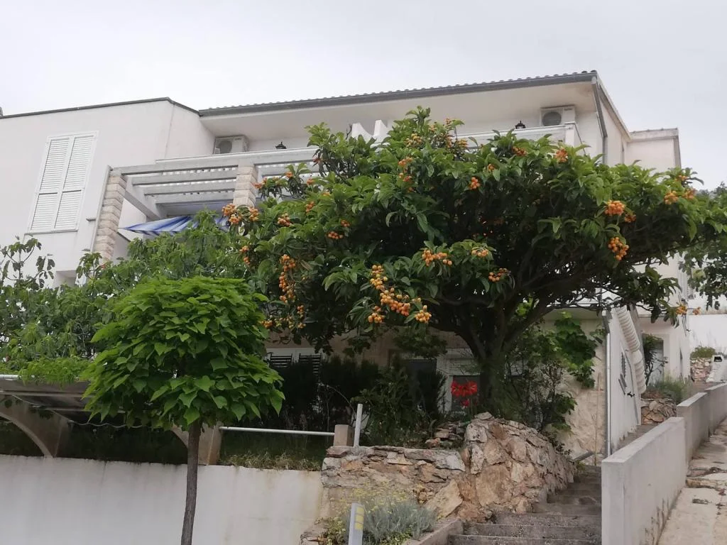 Apartmani Silvano – fotografija 3
