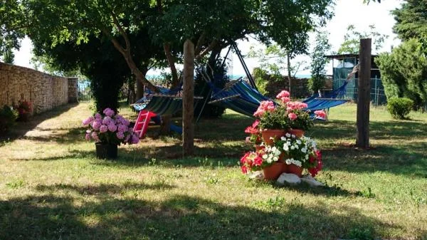 Apartmani Oliva – fotografija 4