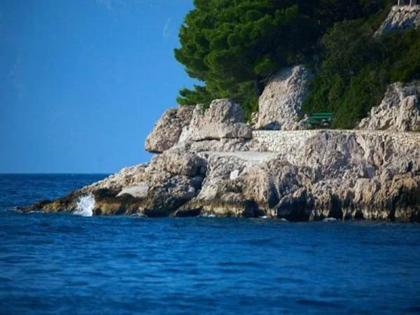 Apartmani Andrea – fotografija 3