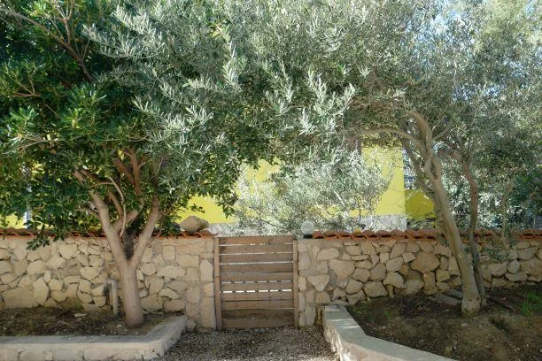 Apartmani Flobi – fotografija 4