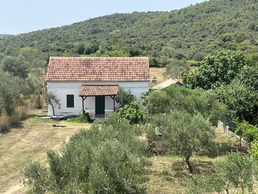 A4+1 – fotografija 2