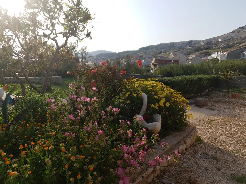 Apartmani Dalmatinka – fotografija 6