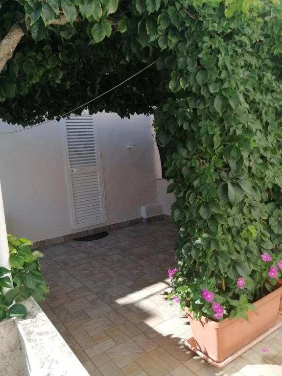 Apartmani Roko – fotografija 6