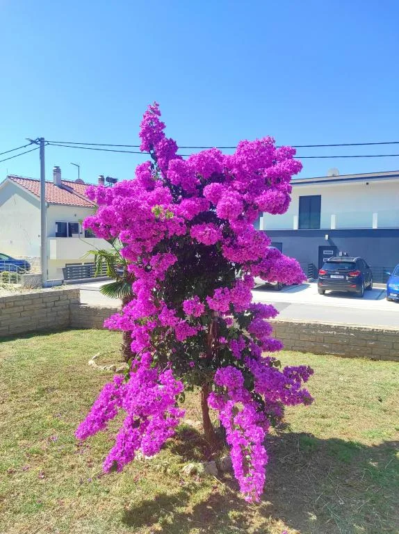 Apartmani Jordan – fotografija 4