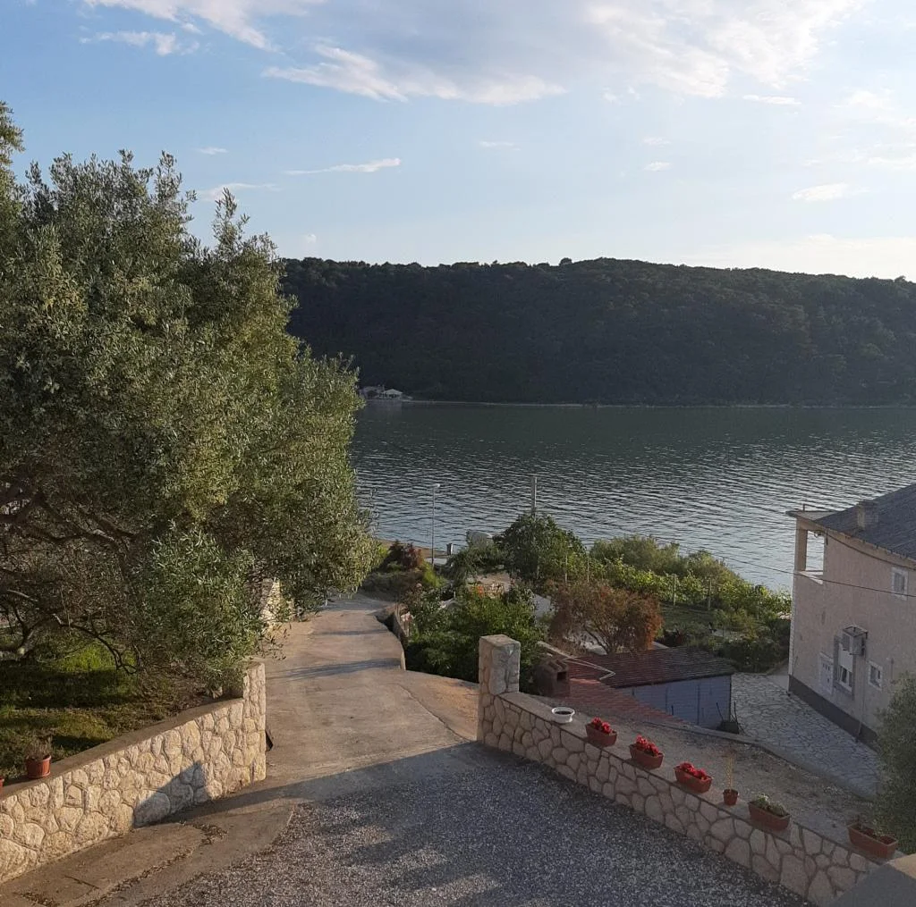 Apartmani Vidas – fotografija 6
