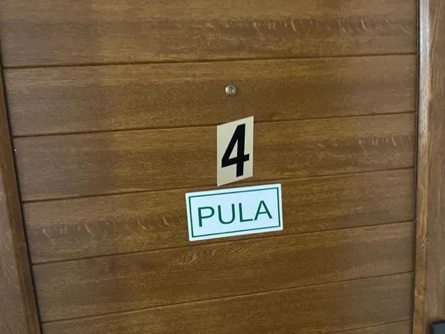 A5 – fotografija 2