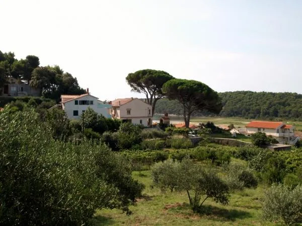 Apartmani Lucija – fotografija 2