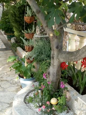 Apartmani Aurora – fotografija 5