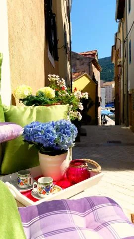 Apartmani Juretic – fotografija 6