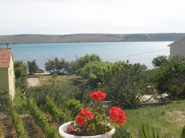 Apartmani Marica – fotografija 5