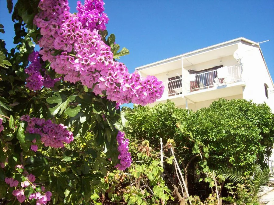 Apartmani Luka – fotografija 2