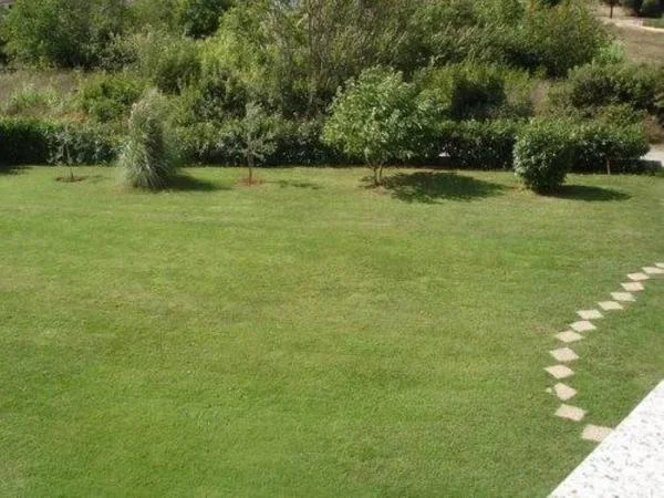 Apartmani Mediteranea – fotografija 4