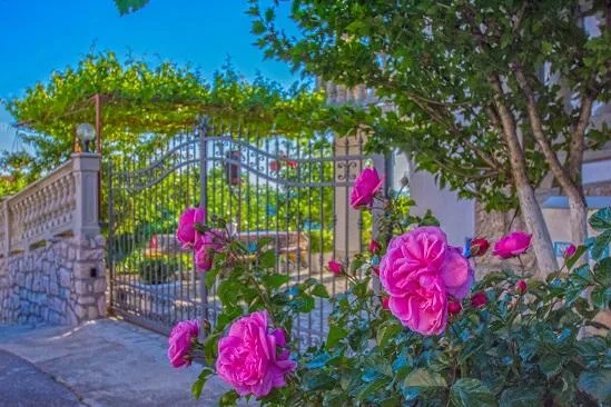 Apartmani Vila Mira – fotografija 2