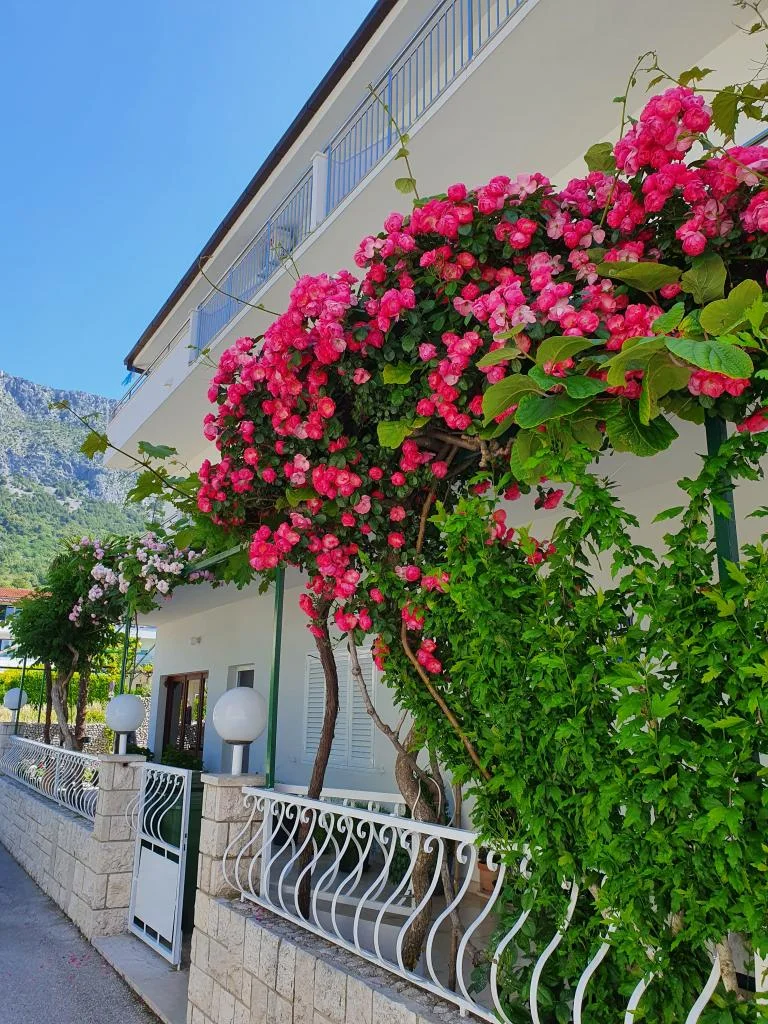 Apartmani Villa Ivan – fotografija 3