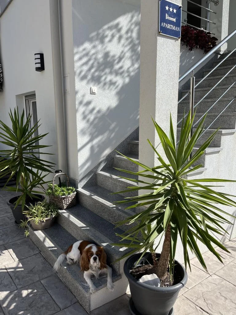Apartmani Villa Dani – fotografija 5