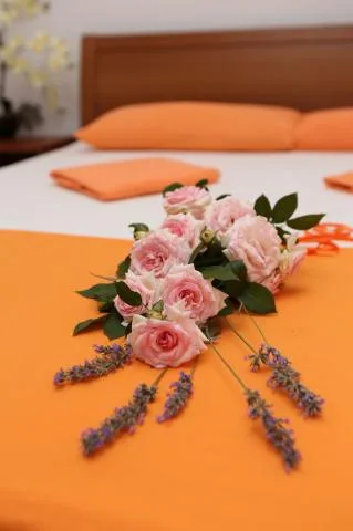 A2+3 – fotografija 2