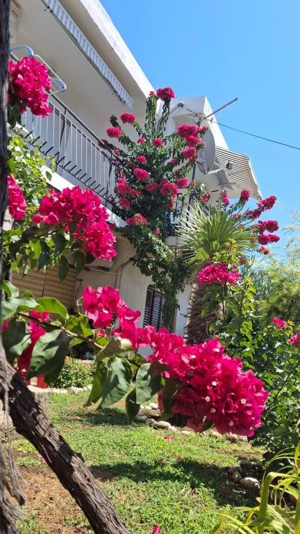 Apartmani Sokolić – fotografija 2